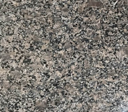 皇室啡(fei)（不染色）